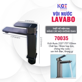 Vòi lavabo 70035